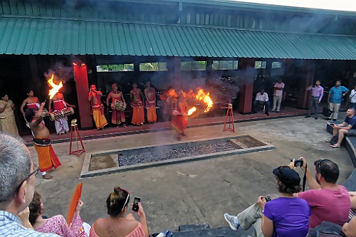 SriLan (804)